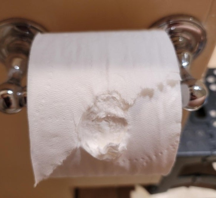 "Mój 3-latek ugryzł papier toaletowy."