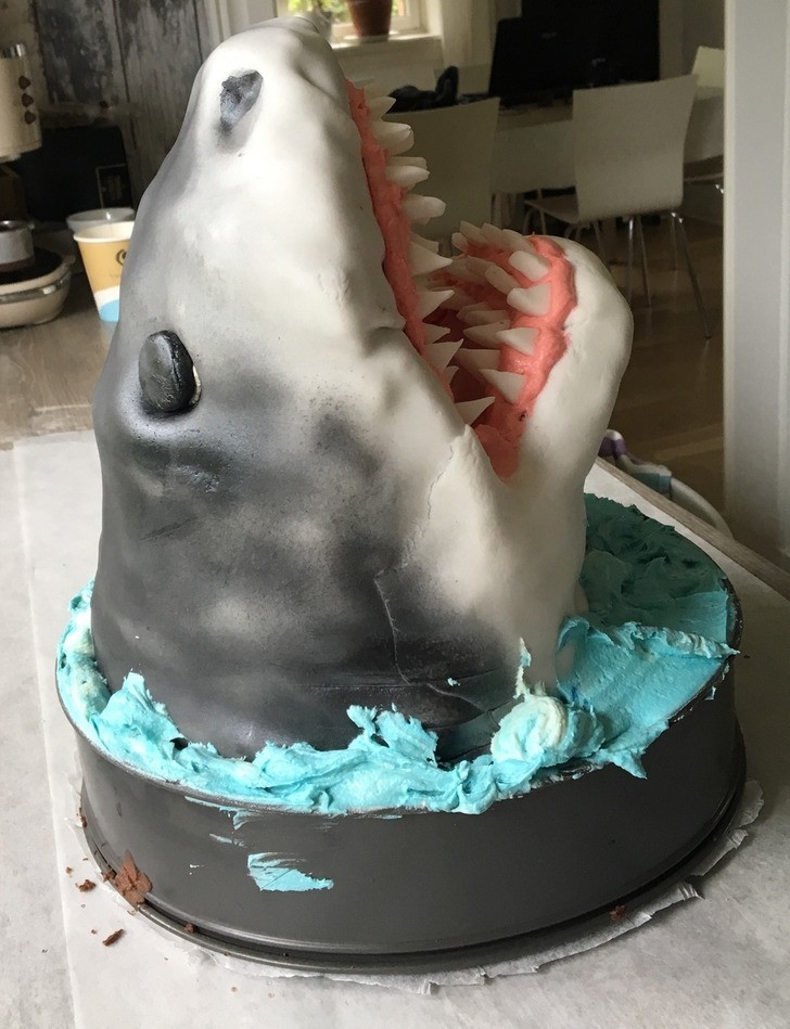 "Mój chłopak poprosił o tort w kształcie rekina na swoje urodziny."