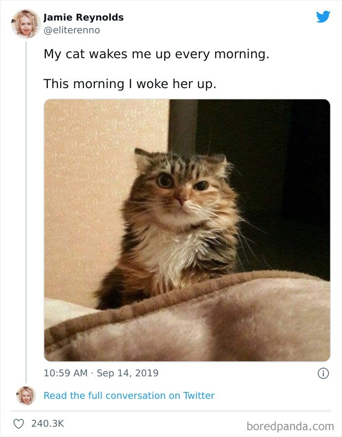 "Moja kotka budzi mnie każdego ranka. Dziś to ja obudziłam ją."