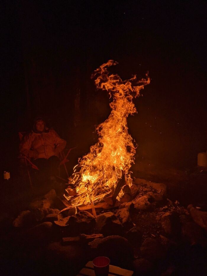 Zdjęcie płomieni z ogniska przypominających jelenia