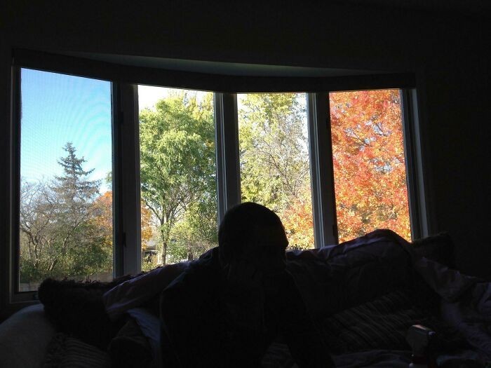 "To okno sprawia, że moje podwórko wygląda jakby było w czterech różnych porach roku."
