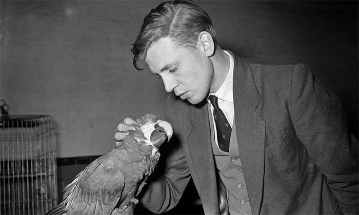 7. Młody David Attenborough, późne lata 50