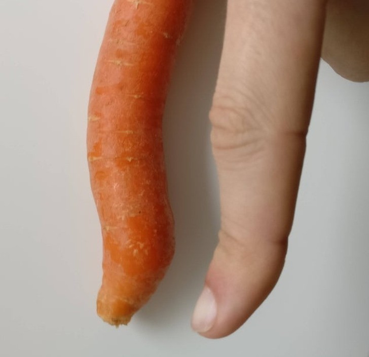 "Znalazłam marchewkę pasującą do kształtu mojego palca."