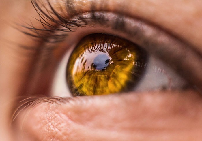 8. 5% osób posiada bursztynowe oczy. Co ciekawe, ten kolor jest znacznie bardziej popularny wśród zwierząt.