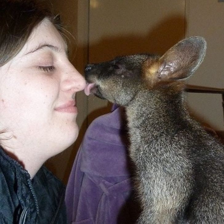 16. "Jestem mamą zastępczą dla porzuconych kangurów. Tak wyglądał mój dzień matki."