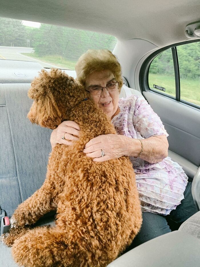 15. "Mój pies nie znosi podróży autem, więc babcia usiadła z nim z tyłu, by dotrzymać mu towarzystwa."