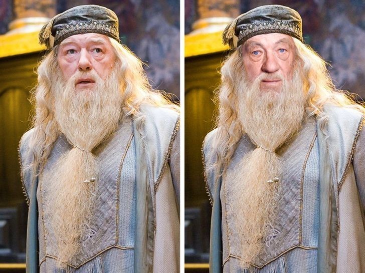 1. Ian McKellen — Albus Dumbledore
