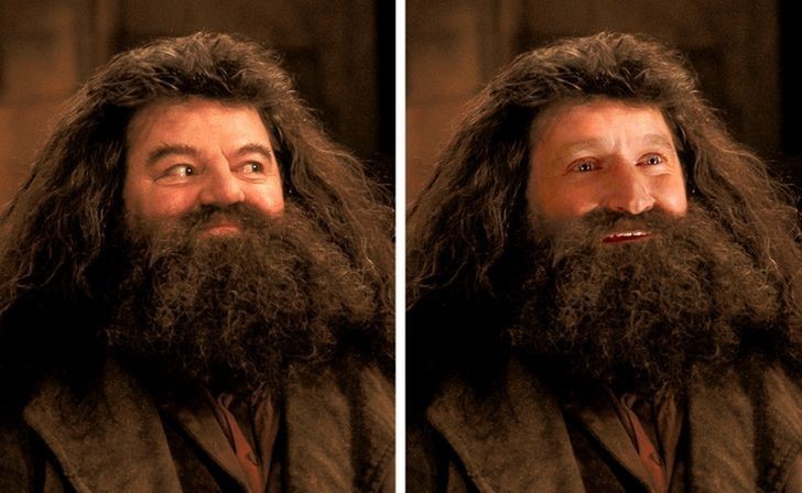 4. Robin Williams — Rubeus Hagrid