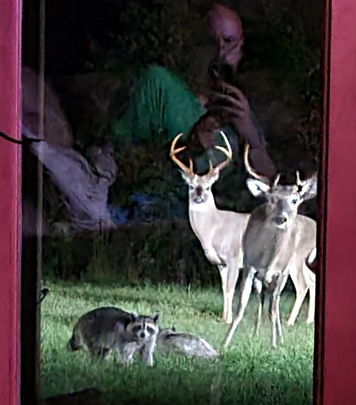 13. "Selfie ze zwierzakami z naszego podwórka"