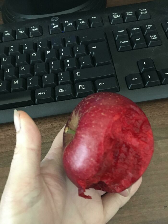 18. Miąższ tego jabłka ma taki sam kolor jak skórka.