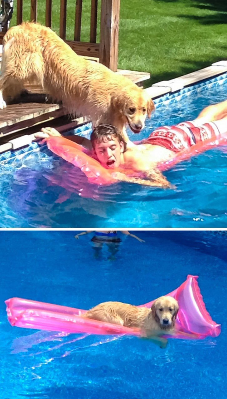 Pies postanowił spróbować jak to jest pływać "na człowieka"