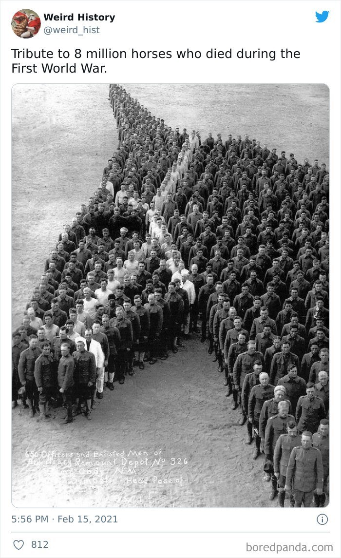 2. Hołd oddany 8 milionom koni, które zginęły podczas pierwszej wojny światowej