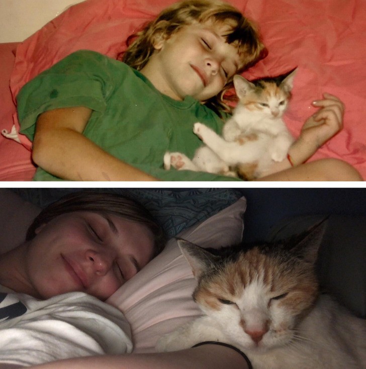 "Ja i mój kot 14 lat temu i obecnie"