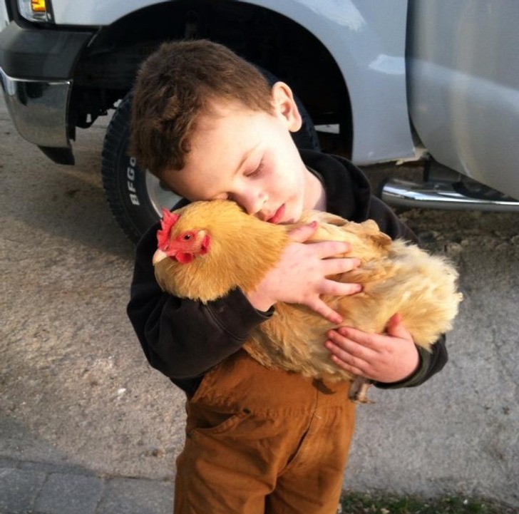"Nasz syn kocha swojego kurczaczka."