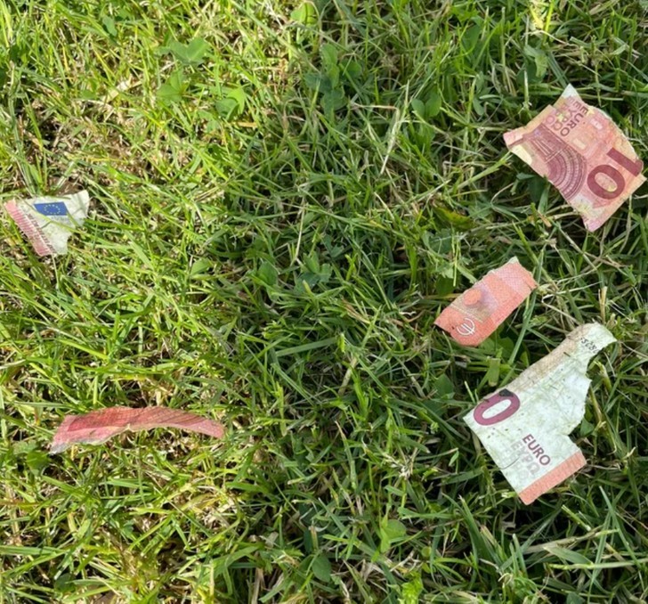 "Znalazłem pieniądze podczas koszenia trawnika."