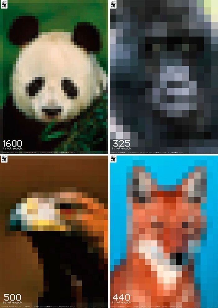 3. Każde zdjęcie tych zagrożonych wyginięciem gatunków wykonane jest z liczby pikseli odpowiadającej liczbie pozostałych zwierząt