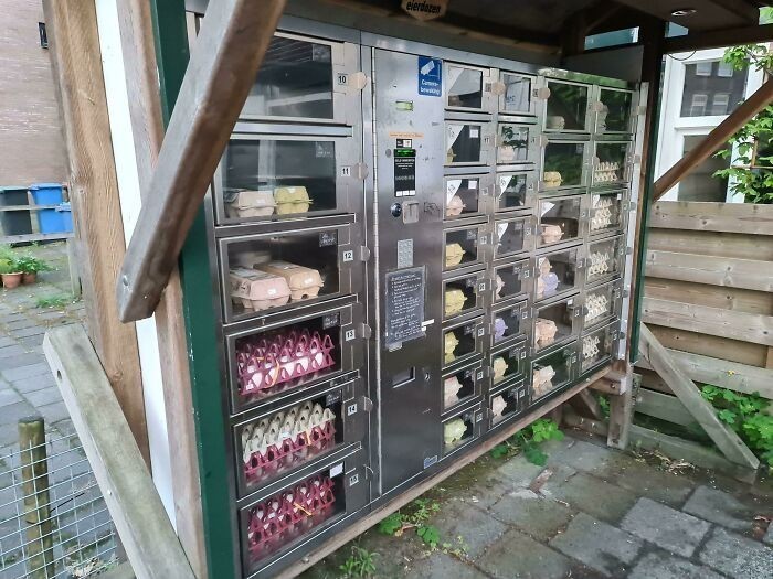 14. "Mieszkam w Holandii. Mamy tutaj automaty sprzedające jaja."