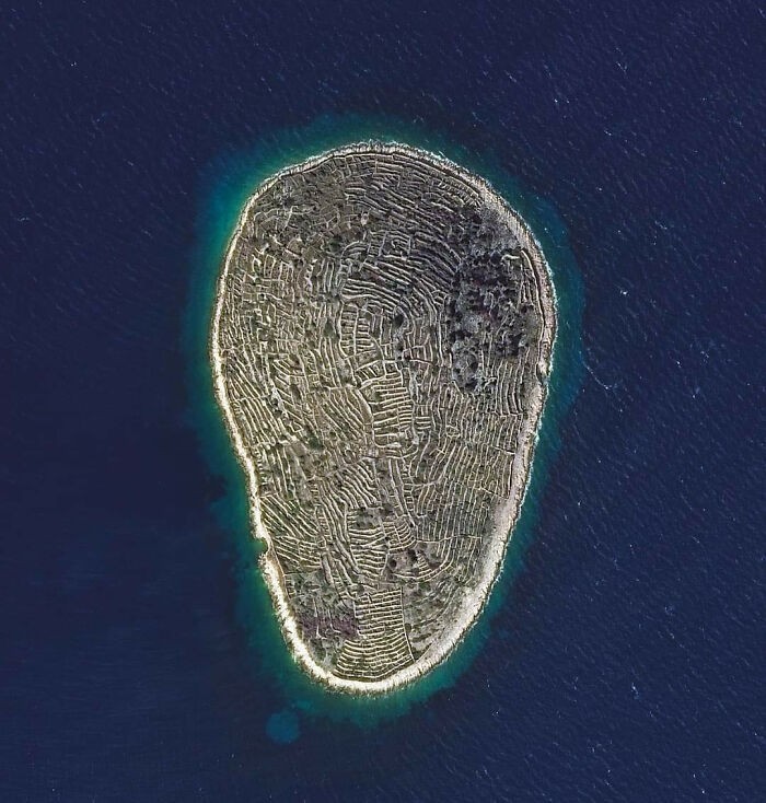 Niezamieszkana wyspa Baljenac na Morzu Adriatyckim. Niskie kamienne ściany zostały wybudowane przez mieszkańców sąsiedniej wyspy, by odseparować pola uprawne i winnice.