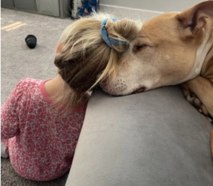 "Więź, która wytworzyła się między naszą córką i naszym psem, jest wyjątkowa."