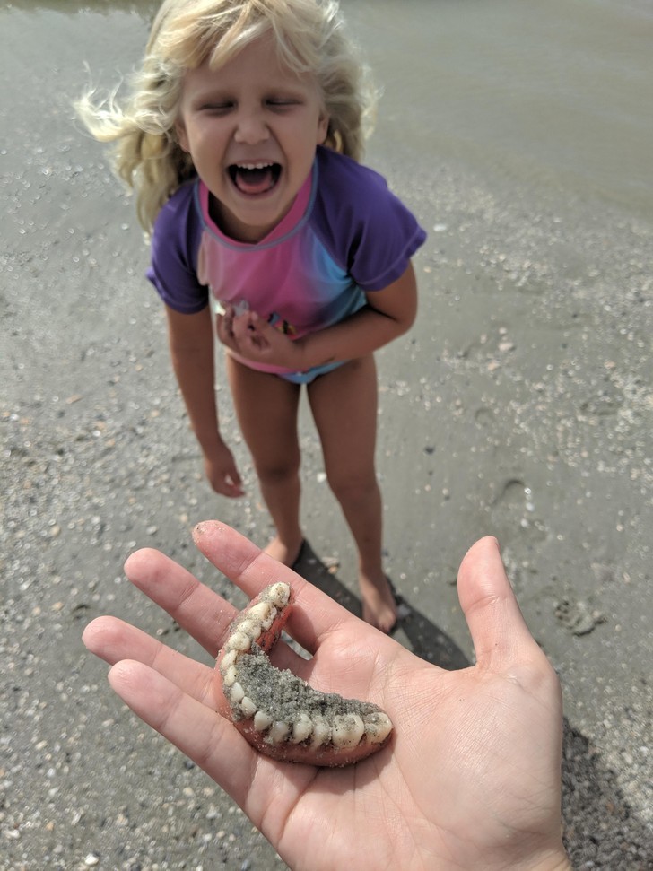 "Poszliśmy na plażę, by poszukać zębów rekina. Tak więc, gdy moja córka krzyknęła 'znalazłam zęby', spodziewałem się czegoś innego."