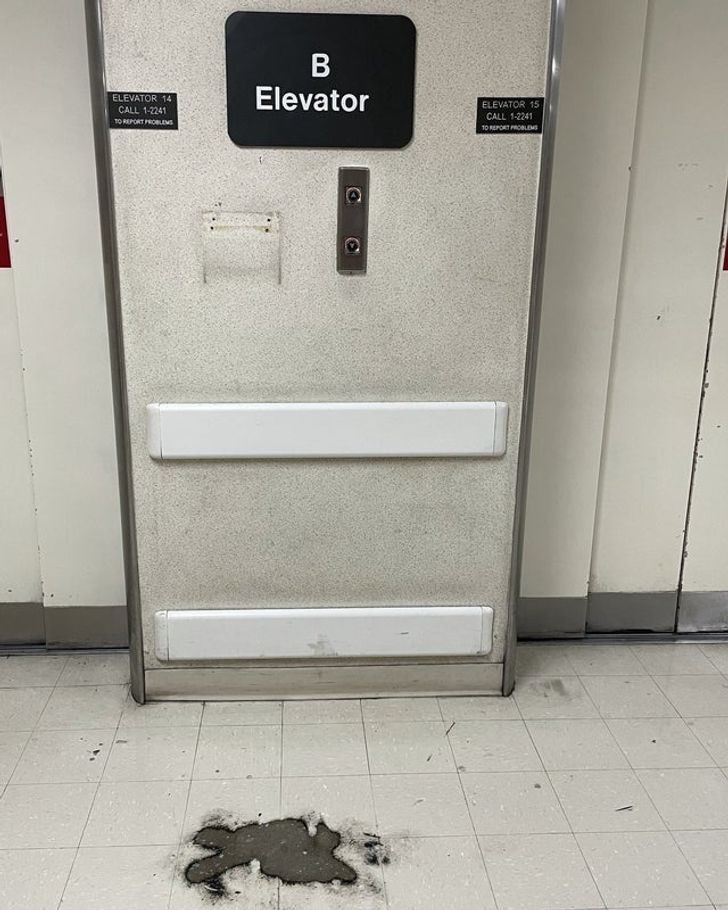 9. "Podłoga przed windą u mnie w pracy"