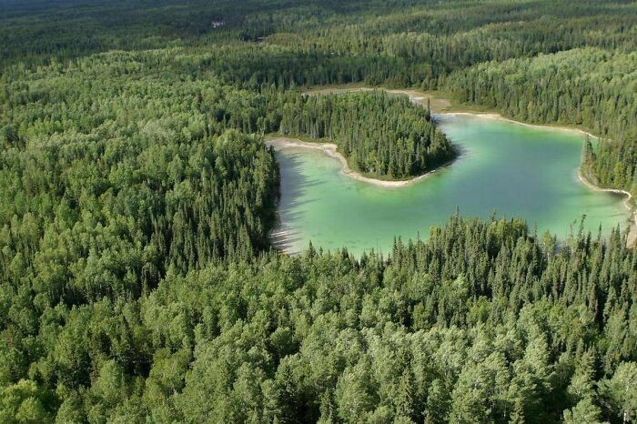 Kanada wciąż posiada 91% powierzchni lasów, które istniały na początku europejskiej kolonizacji.