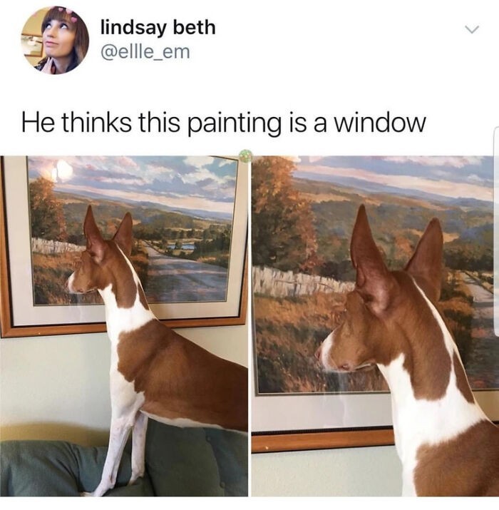 "Myśli, że ten obraz jest oknem."