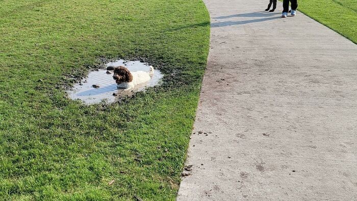 "Specjalnie wybrałam ten park, bo nie ma w nim wody..."