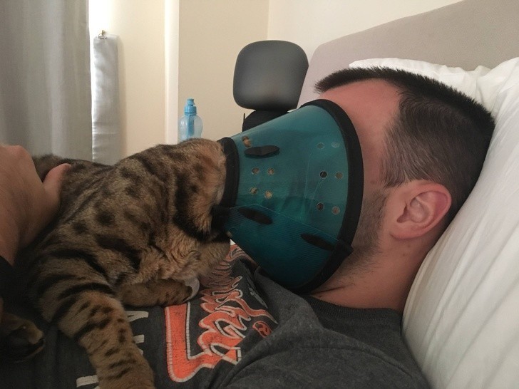 2. Gdy kot w kołnierzu postanowi dać ci buzi