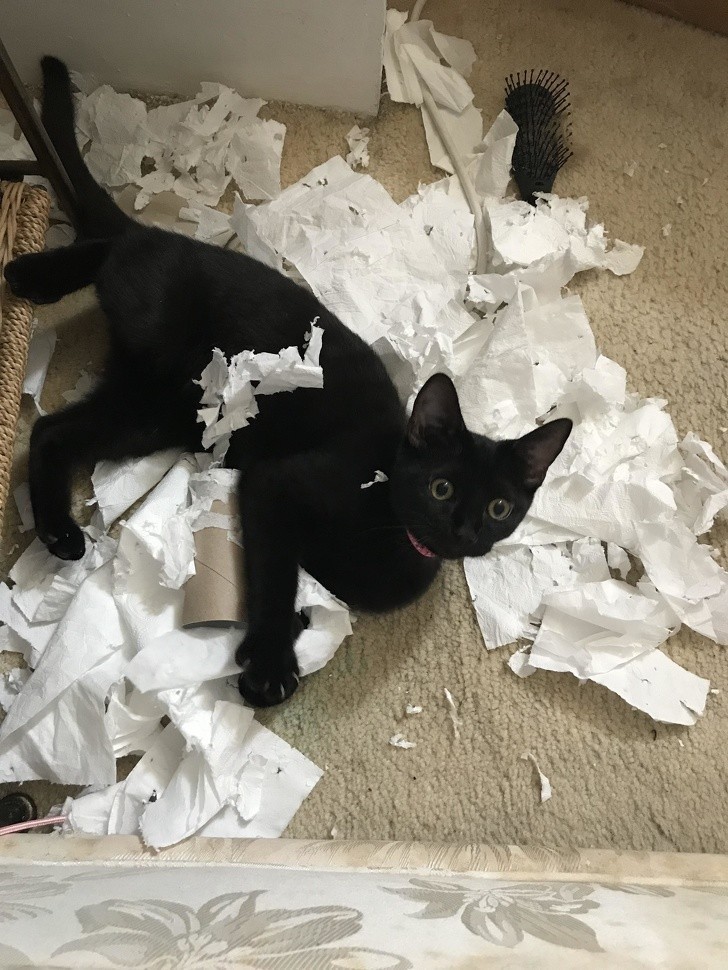 14. "Nie. Nie wiem co się stało z papierem."