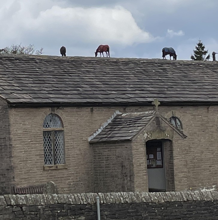 "Małe konie na kościele"