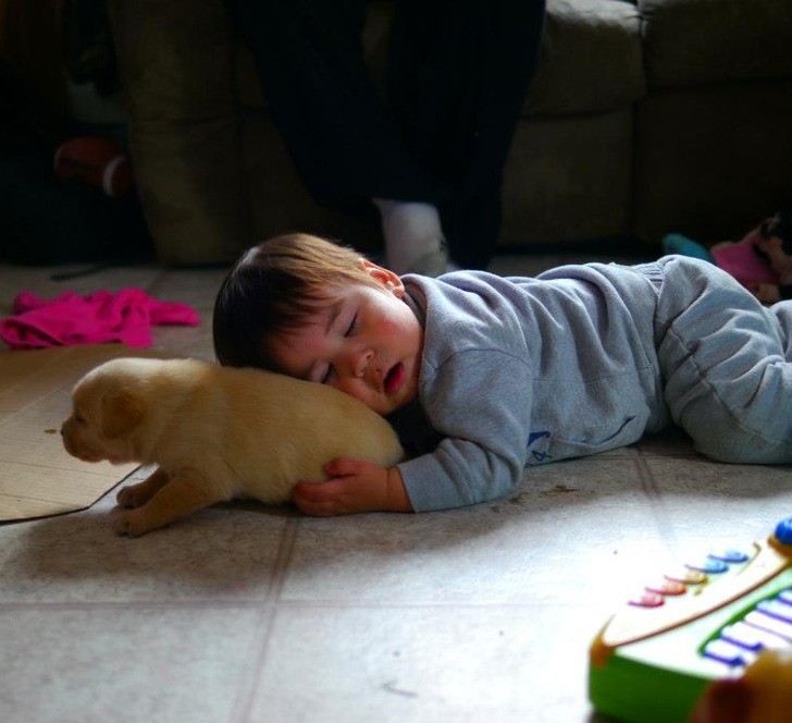"Mój siostrzeniec zasnął trzymając szczeniaczka."