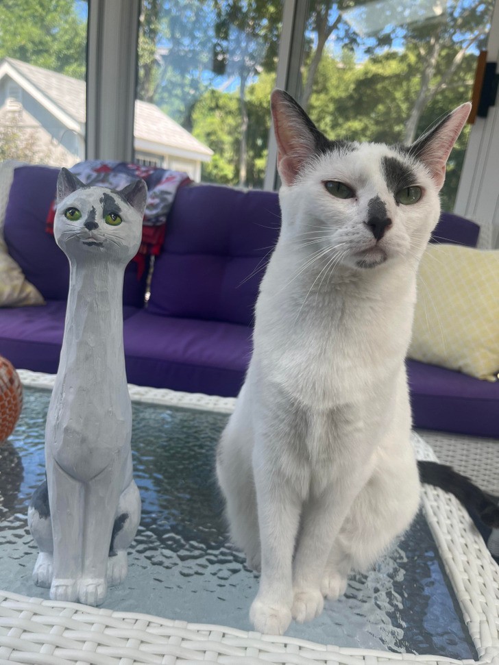 "Statuetka kota pomalowana na podobieństwo mojego"
