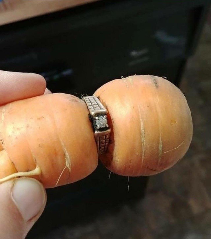 2. „Mój diamentowy pierścionek był zagubiony od 2004 roku. Znalazł się na marchewce w ogrodzie.”