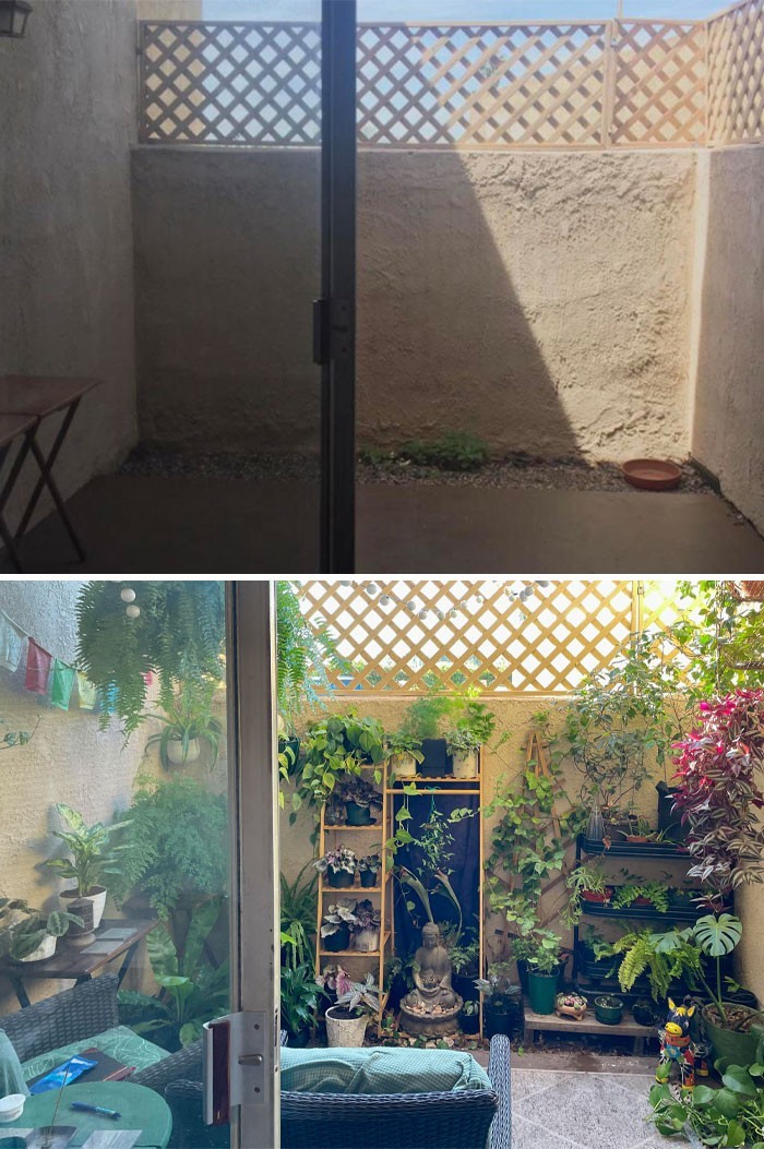 "Przed i po! Mój malutki ogródek na balkonie"