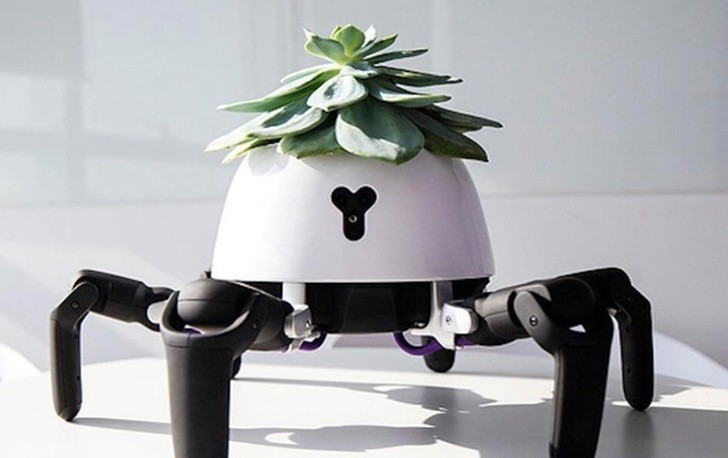 18. Doniczka-robot, która ustawia się w zależności od padających promieni słońca, i przypomina ci o podlewaniu.