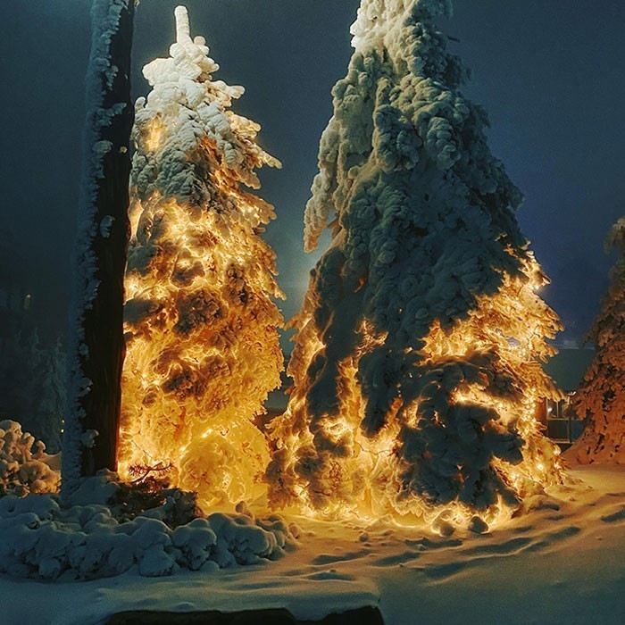 7. Te drzewa z lampkami choinkowymi pod warstwą śniegu wyglądają niczym startująca rakieta.