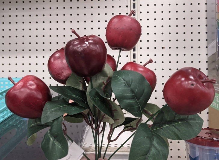 "Te dekoracyjne jabłka mają ogonki z obu stron."