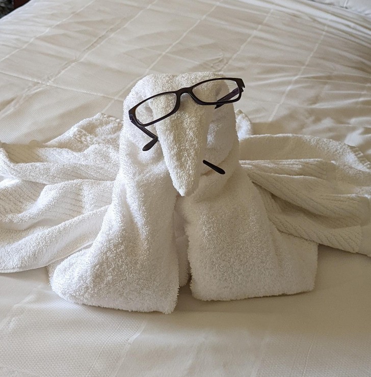 "Obsługa w hotelu zabawiła się moimi okularami."
