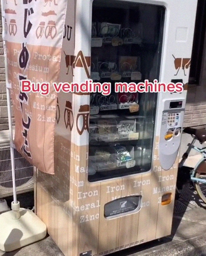 16. Automaty sprzedające owady