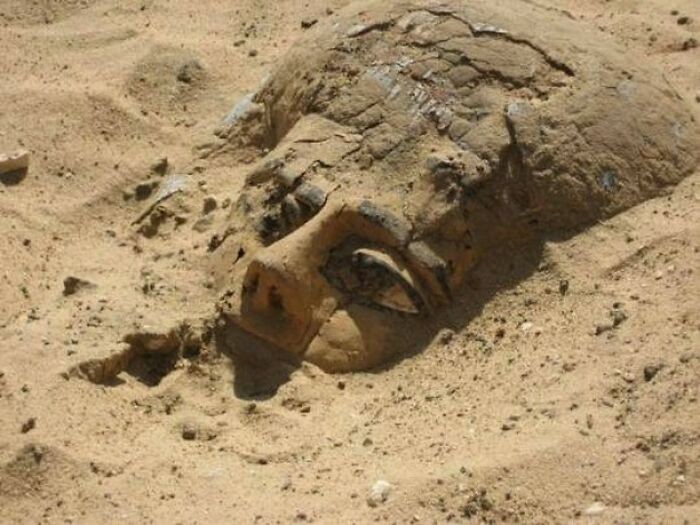 Drewniany sarkofag wynurzający się z piasków starożytnego miasta Abydos w Egipcie