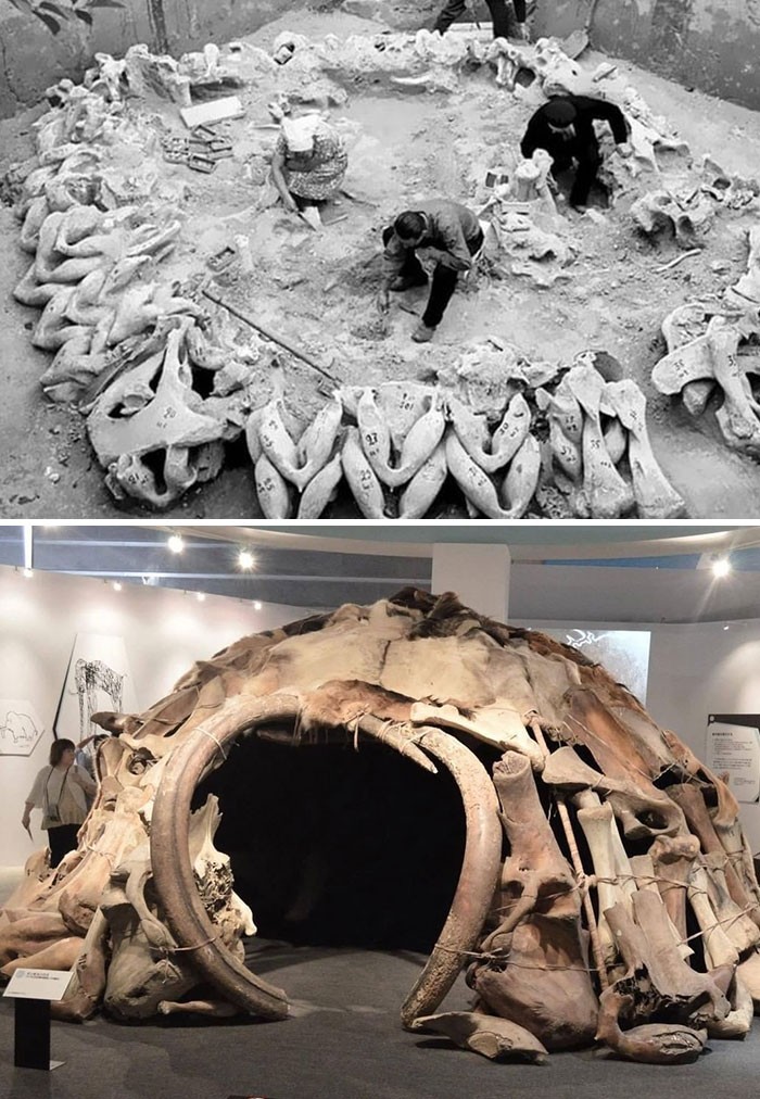 Szczątki chaty z kości mamutów sprzed 15 tysięcy lat, Międzyrzecz, Ukraina