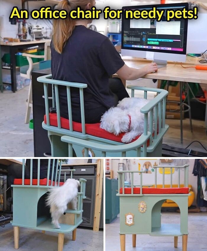 Krzesło biurowe dla zwierzaków potrzebujących towarzystwa