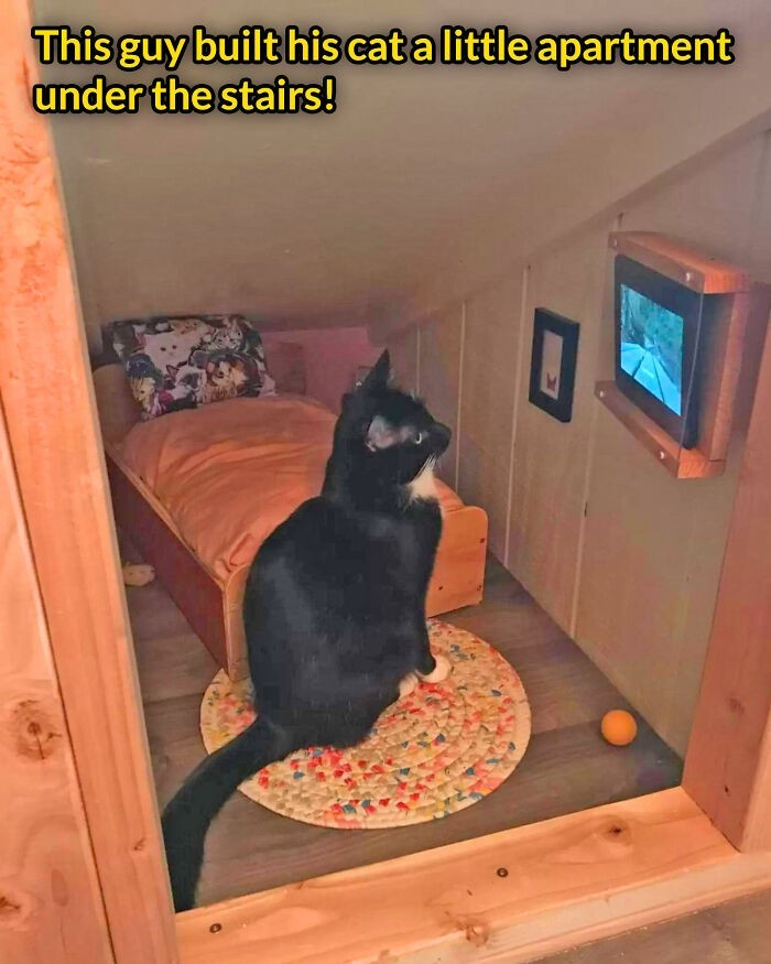 "Ten facet zbudował swojemu kotu malutkie mieszkanie pod schodami."