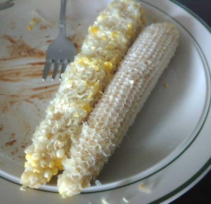 15. Niektórzy jedzą kukurydzę, inni czyszczą kolbę do końca.