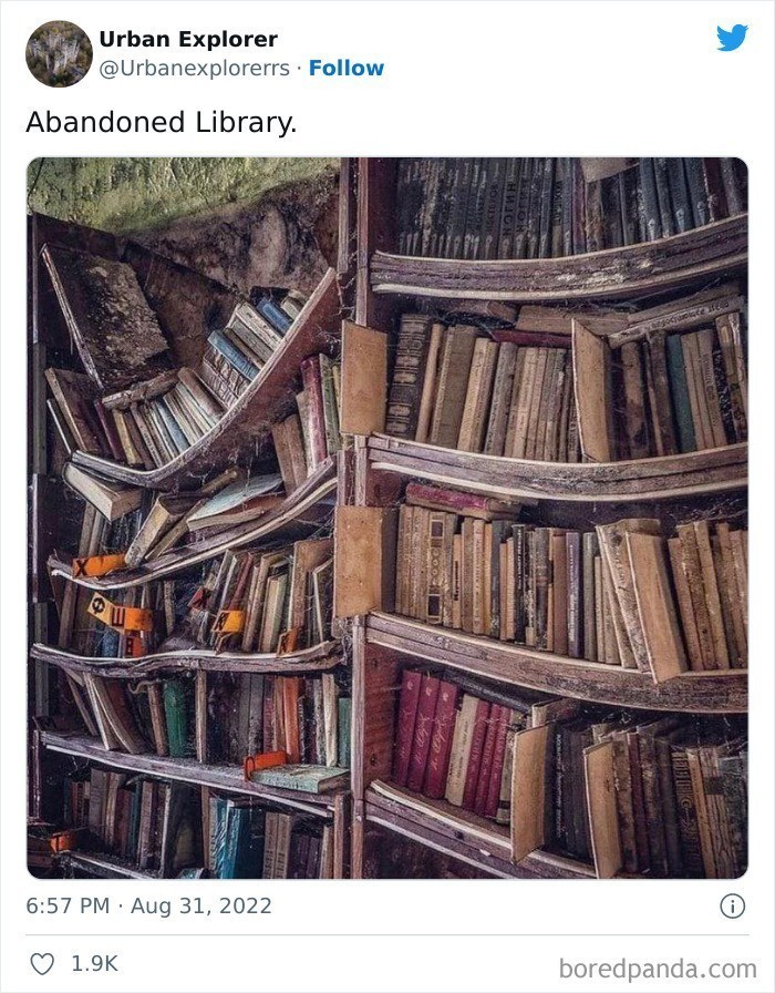 "Opuszczona biblioteka"