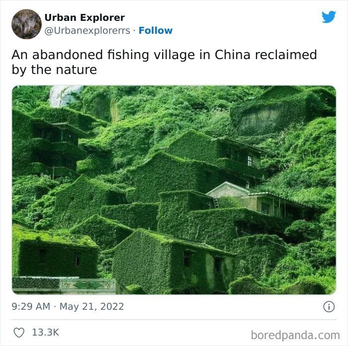"Opuszczona wioska rybacka w Chinach, odzyskana przez naturę"