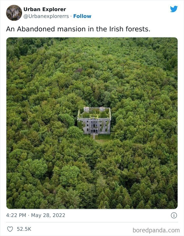 "Opuszczona posiadłość w irlandzkim lesie"
