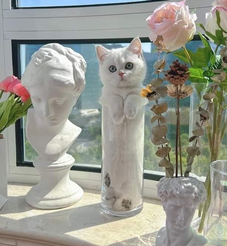 "Co za dziwny wazon."