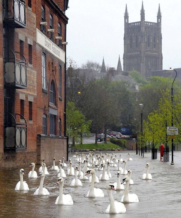 "Deszczowy dzień w Worcester"